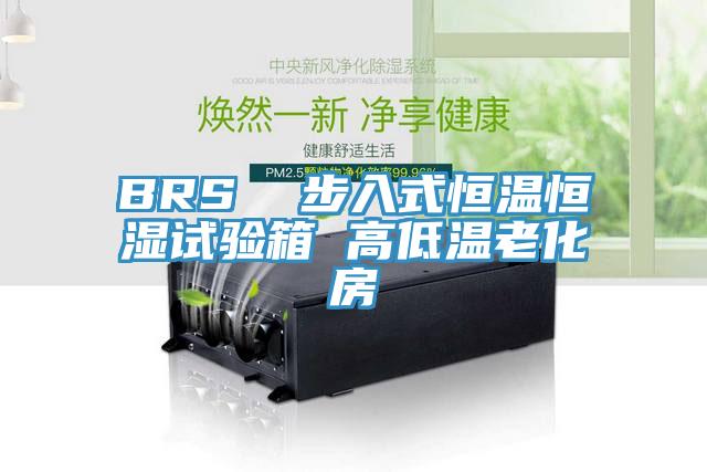 BRS 步入式恒溫恒濕試驗箱 高低溫老化房