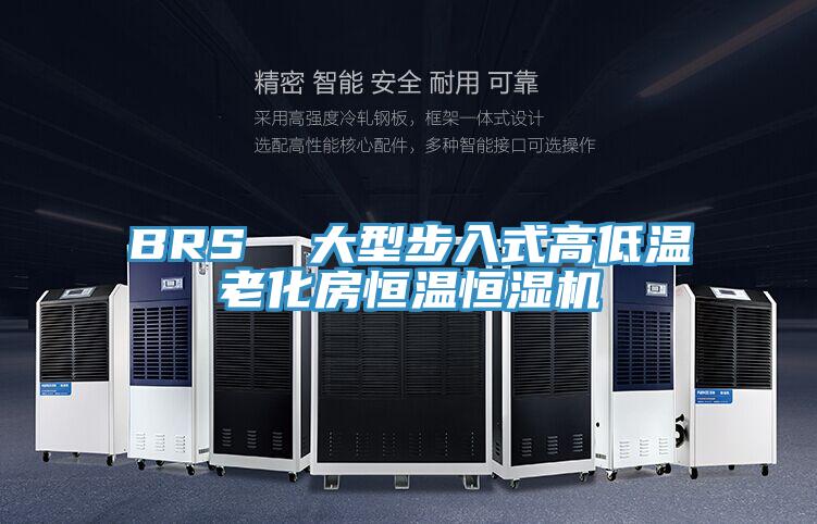 BRS 大型步入式高低溫老化房恒溫恒濕機