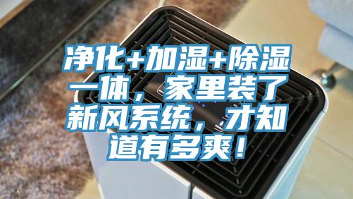 凈化+加濕+除濕一體,家里裝了新風系統,才知道有多爽!