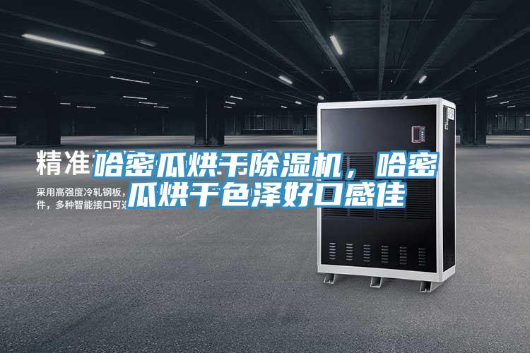 哈密瓜烘干除濕機，哈密瓜烘干色澤好口感佳