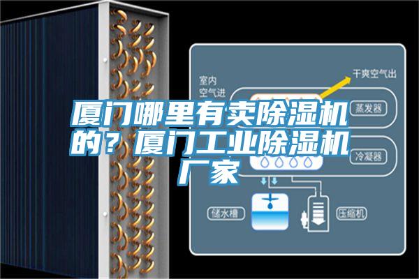 廈門哪里有賣除濕機的？廈門工業(yè)除濕機廠家