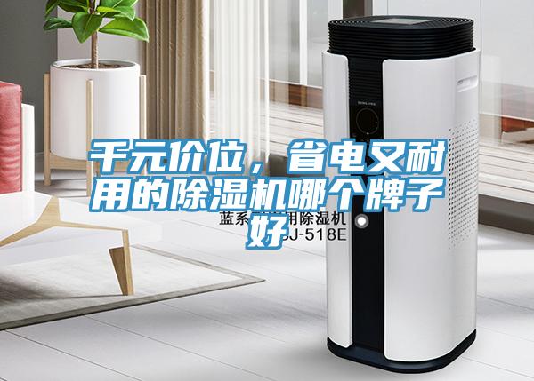 千元價(jià)位,省電又耐用的除濕機(jī)哪個(gè)牌子好