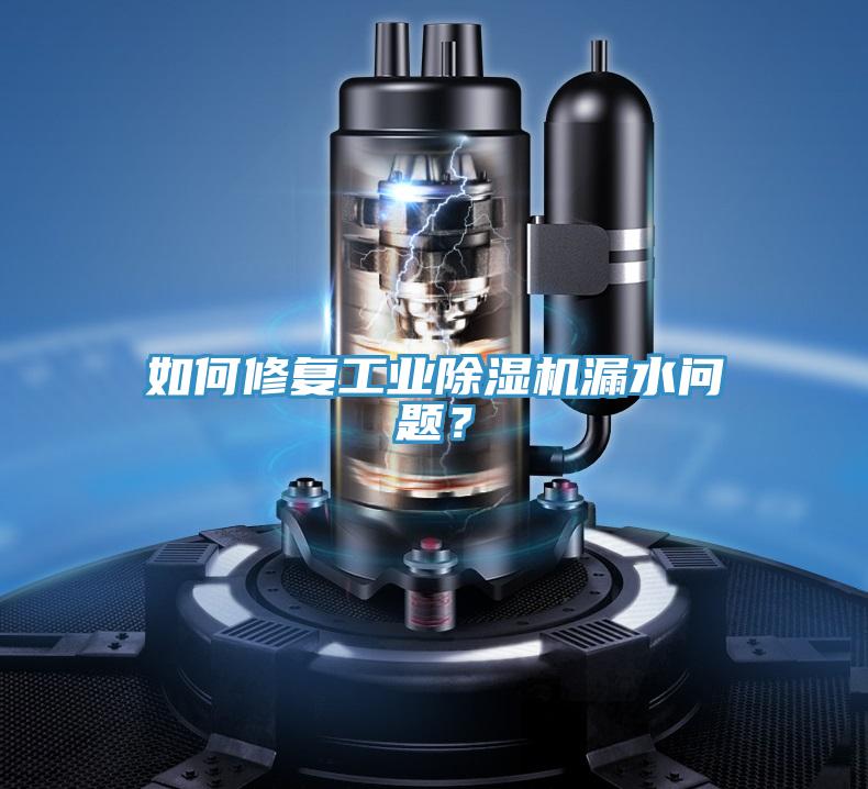 如何修復工業除濕機漏水問題?