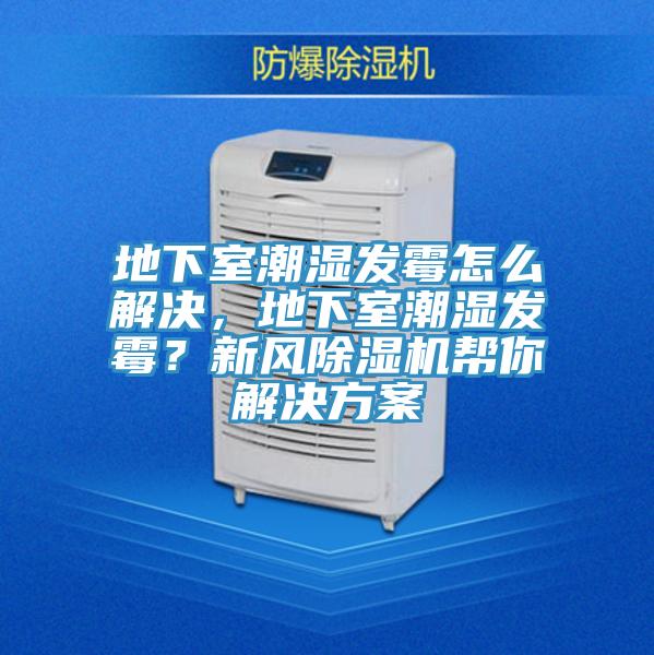 地下室潮濕發(fā)霉怎么解決,地下室潮濕發(fā)霉?新風除濕機幫你解決方案