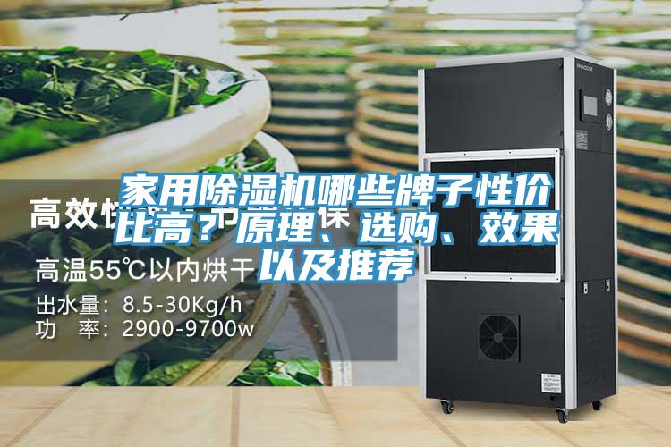 家用除濕機(jī)哪些牌子性價(jià)比高？原理、選購(gòu)、效果以及推薦