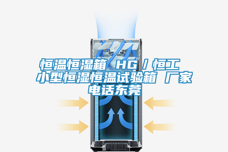 恒溫恒濕箱 HG/恒工 小型恒濕恒溫試驗箱 廠家電話東莞
