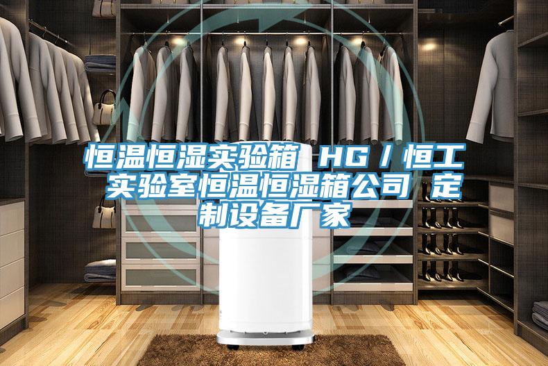 恒溫恒濕實驗箱 HG/恒工 實驗室恒溫恒濕箱公司 定制設備廠家