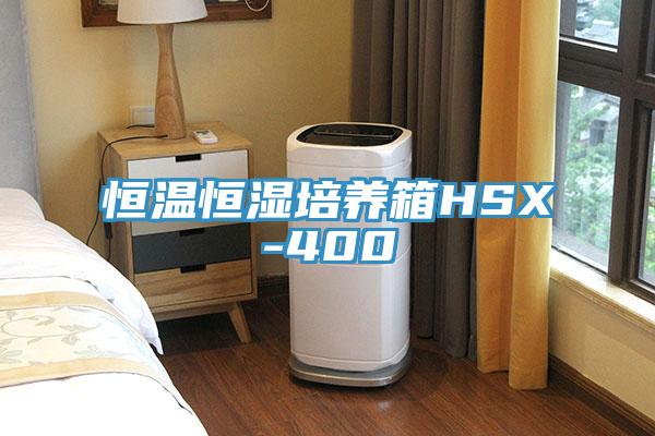 恒溫恒濕培養箱HSX-400