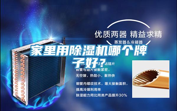 家里用除濕機哪個牌子好?