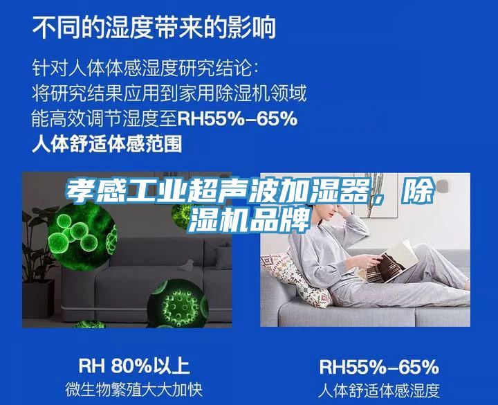 孝感工業超聲波加濕器,除濕機品牌