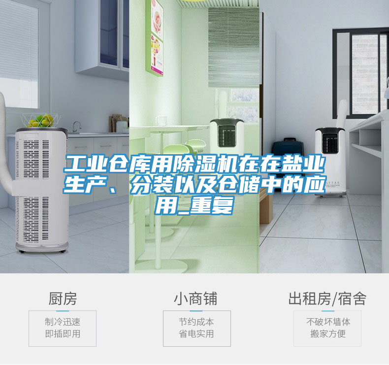工業(yè)倉庫用除濕機在在鹽業(yè)生產、分裝以及倉儲中的應用_重復