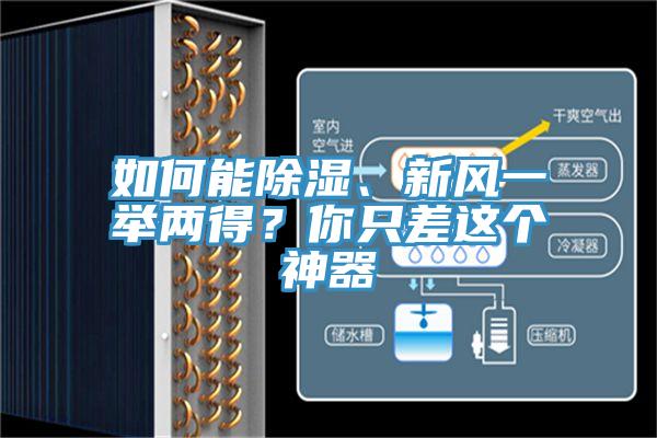 如何能除濕、新風一舉兩得?你只差這個神器