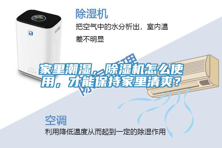 家里潮濕,除濕機怎么使用,才能保持家里清爽?