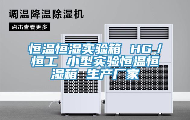 恒溫恒濕實驗箱 HG/恒工 小型實驗恒溫恒濕箱 生產廠家