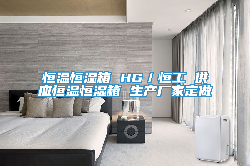 恒溫恒濕箱 HG/恒工 供應恒溫恒濕箱 生產廠家定做