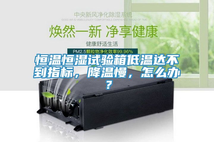 恒溫恒濕試驗箱低溫達不到指標,降溫慢,怎么辦?