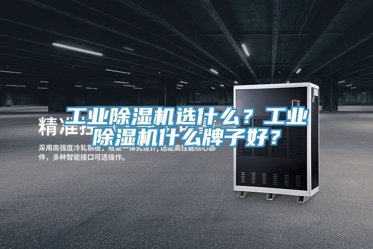 工業(yè)除濕機(jī)選什么？工業(yè)除濕機(jī)什么牌子好？