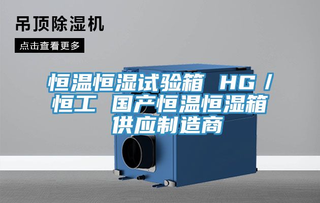 恒溫恒濕試驗箱 HG/恒工 國產(chǎn)恒溫恒濕箱 供應(yīng)制造商