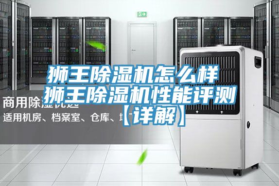 獅王除濕機(jī)怎么樣 獅王除濕機(jī)性能評(píng)測(cè)【詳解】
