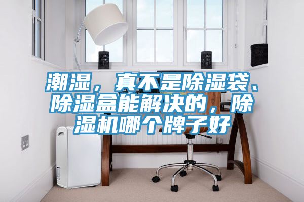 潮濕,真不是除濕袋、除濕盒能解決的,除濕機(jī)哪個(gè)牌子好