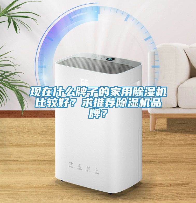 現在什么牌子的家用除濕機比較好？求推薦除濕機品牌？