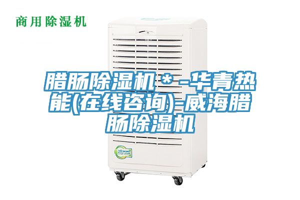臘腸除濕機(jī)*-華青熱能(在線咨詢)-威海臘腸除濕機(jī)