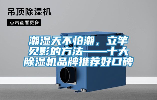 潮濕天不怕潮,立竿見影的方法——十大除濕機品牌推薦好口碑