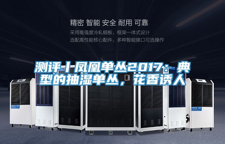 測評丨鳳凰單叢2017:典型的抽濕單叢,花香誘人