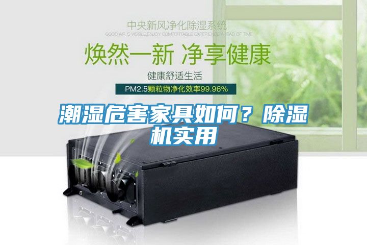潮濕危害家具如何?除濕機實用