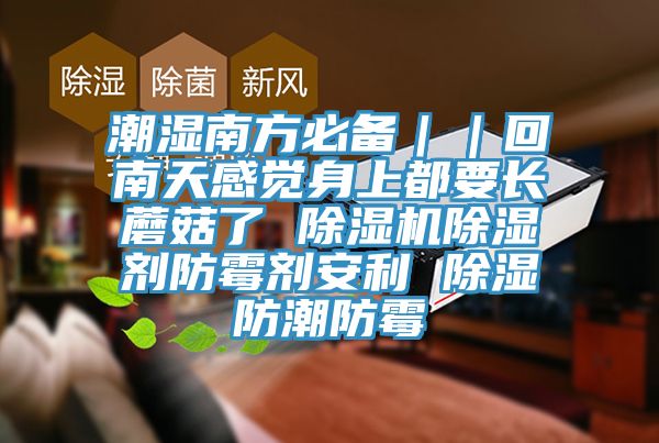潮濕南方必備||回南天感覺身上都要長蘑菇了 除濕機除濕劑防霉劑安利 除濕防潮防霉