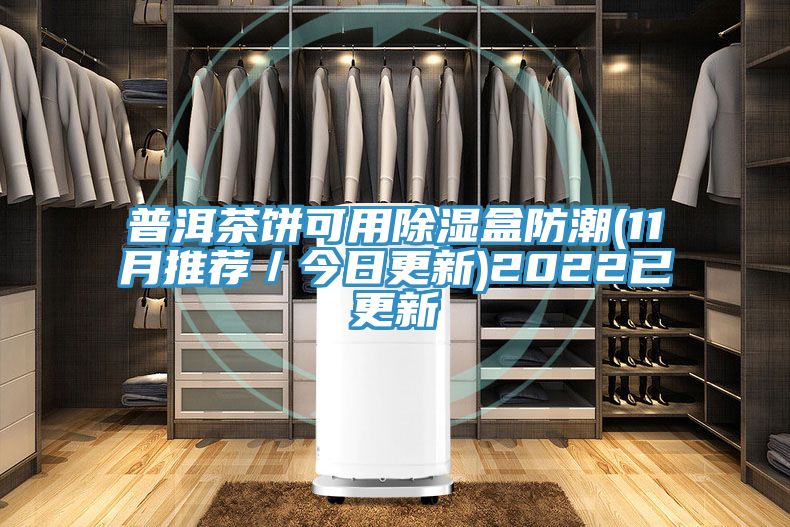 普洱茶餅可用除濕盒防潮(11月推薦/今日更新)2022已更新