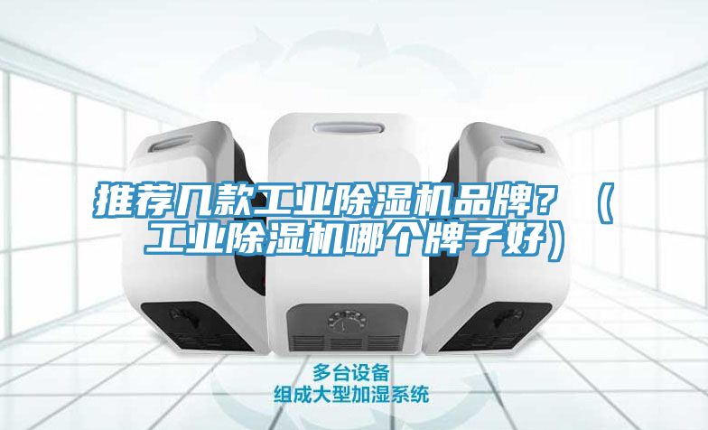 推薦幾款工業除濕機品牌?(工業除濕機哪個牌子好)