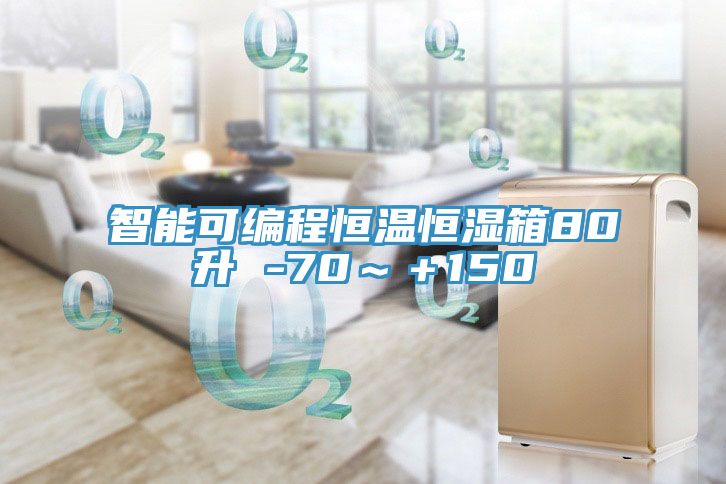 智能可編程恒溫恒濕箱80升 -70~+150℃