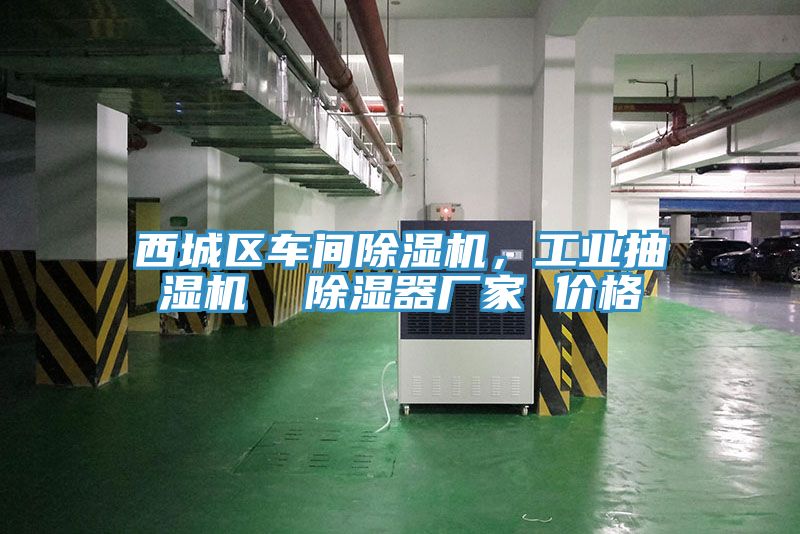 西城區(qū)車間除濕機(jī),工業(yè)抽濕機(jī) 除濕器廠家 價(jià)格