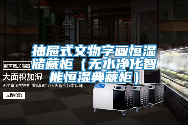 抽屜式文物字畫恒濕儲(chǔ)藏柜(無水凈化智能恒濕典藏柜)