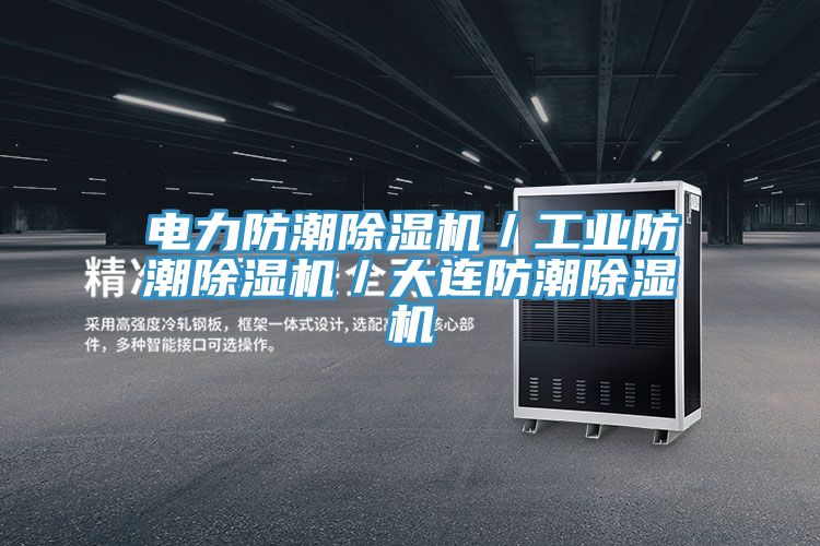 電力防潮除濕機/工業防潮除濕機/大連防潮除濕機