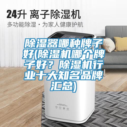 除濕器哪種牌子好(除濕機哪個牌子好？除濕機行業十大知名品牌匯總)