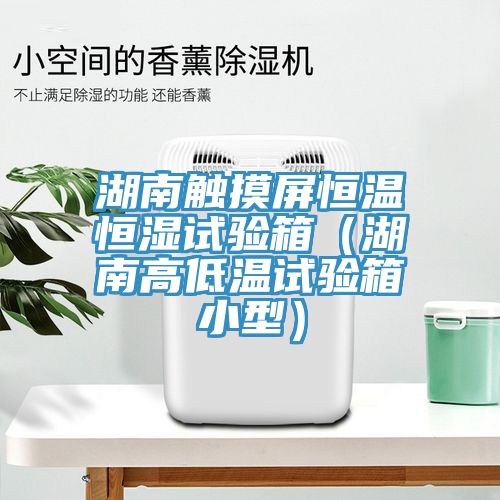 湖南觸摸屏恒溫恒濕試驗箱(湖南高低溫試驗箱小型)