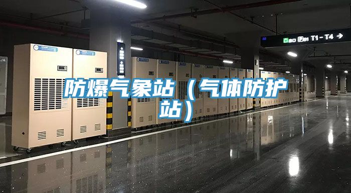 防爆氣象站(氣體防護站)