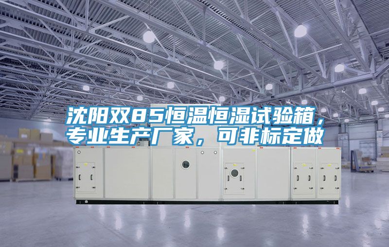 沈陽雙85恒溫恒濕試驗箱，專業生產廠家，可非標定做