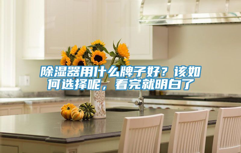 除濕器用什么牌子好?該如何選擇呢,看完就明白了