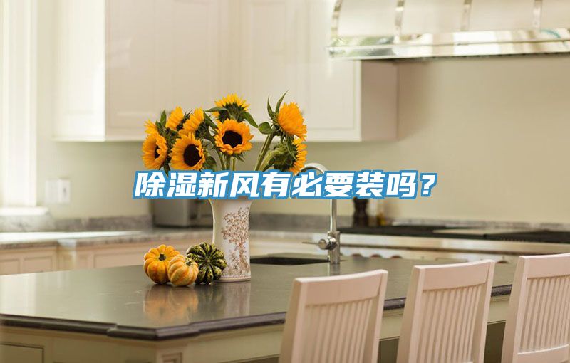 除濕新風有必要裝嗎?