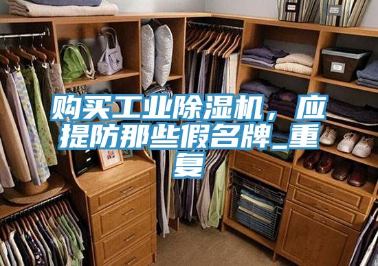 購買工業除濕機，應提防那些假名牌_重復