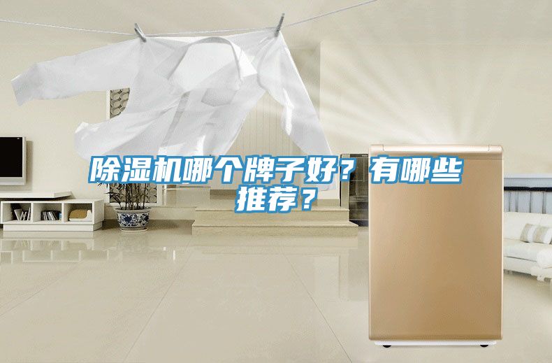 除濕機哪個牌子好？有哪些推薦？