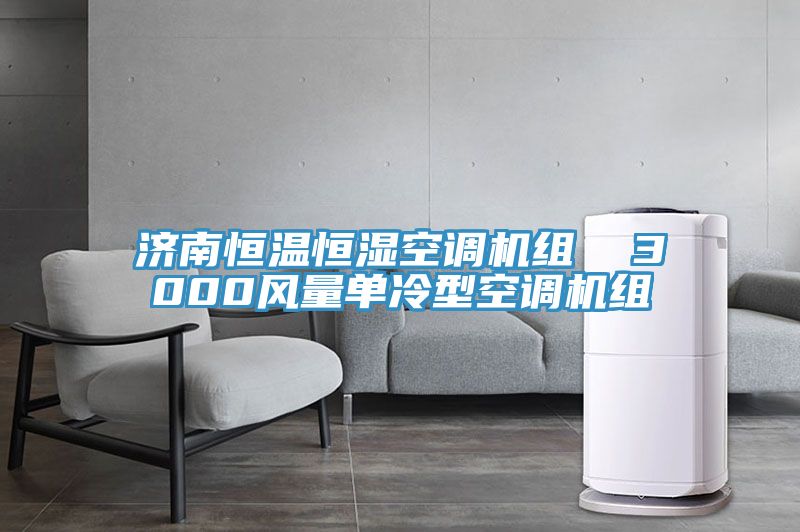 濟南恒溫恒濕空調(diào)機組 3000風量單冷型空調(diào)機組