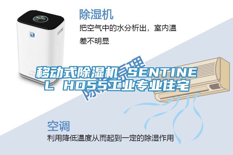 移動式除濕機 SENTINEL HD55工業專業住宅