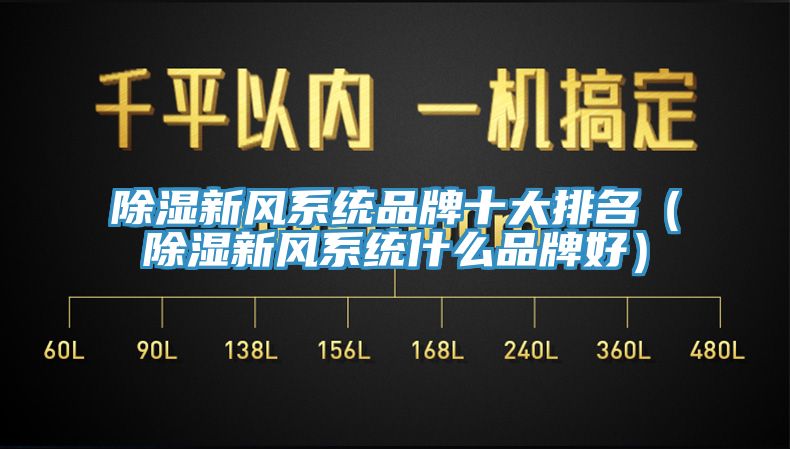 除濕新風(fēng)系統(tǒng)品牌十大排名(除濕新風(fēng)系統(tǒng)什么品牌好)