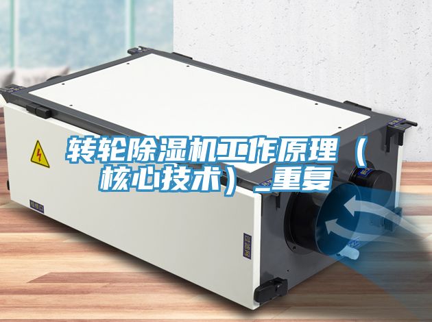 轉輪除濕機工作原理(核心技術)_重復