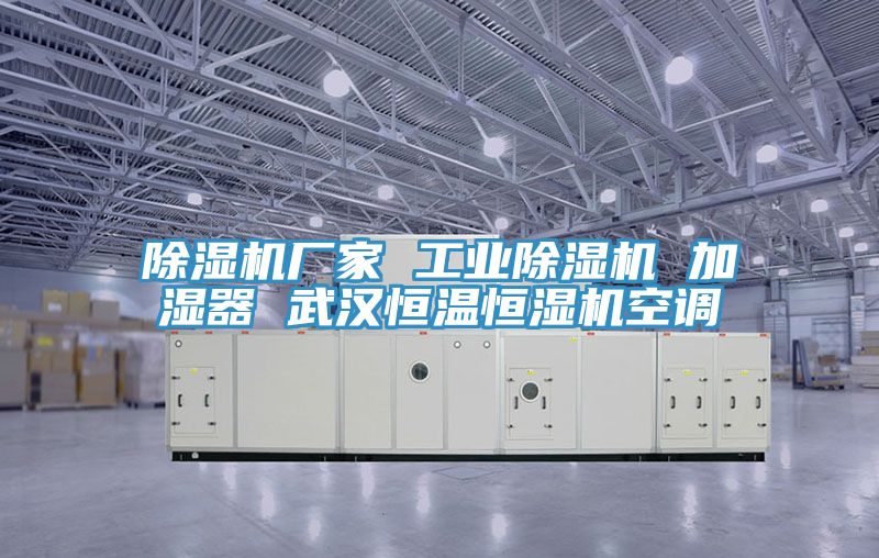 除濕機(jī)廠(chǎng)家 工業(yè)除濕機(jī) 加濕器 武漢恒溫恒濕機(jī)空調(diào)