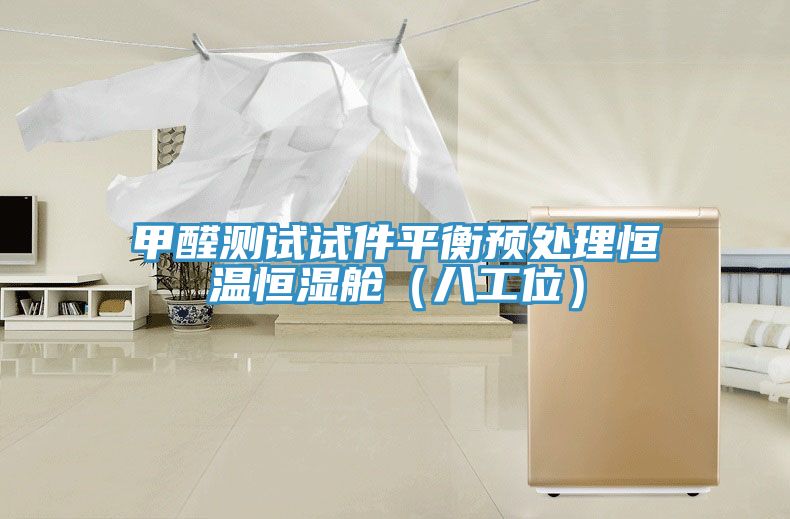甲醛測試試件平衡預(yù)處理恒溫恒濕艙(八工位)